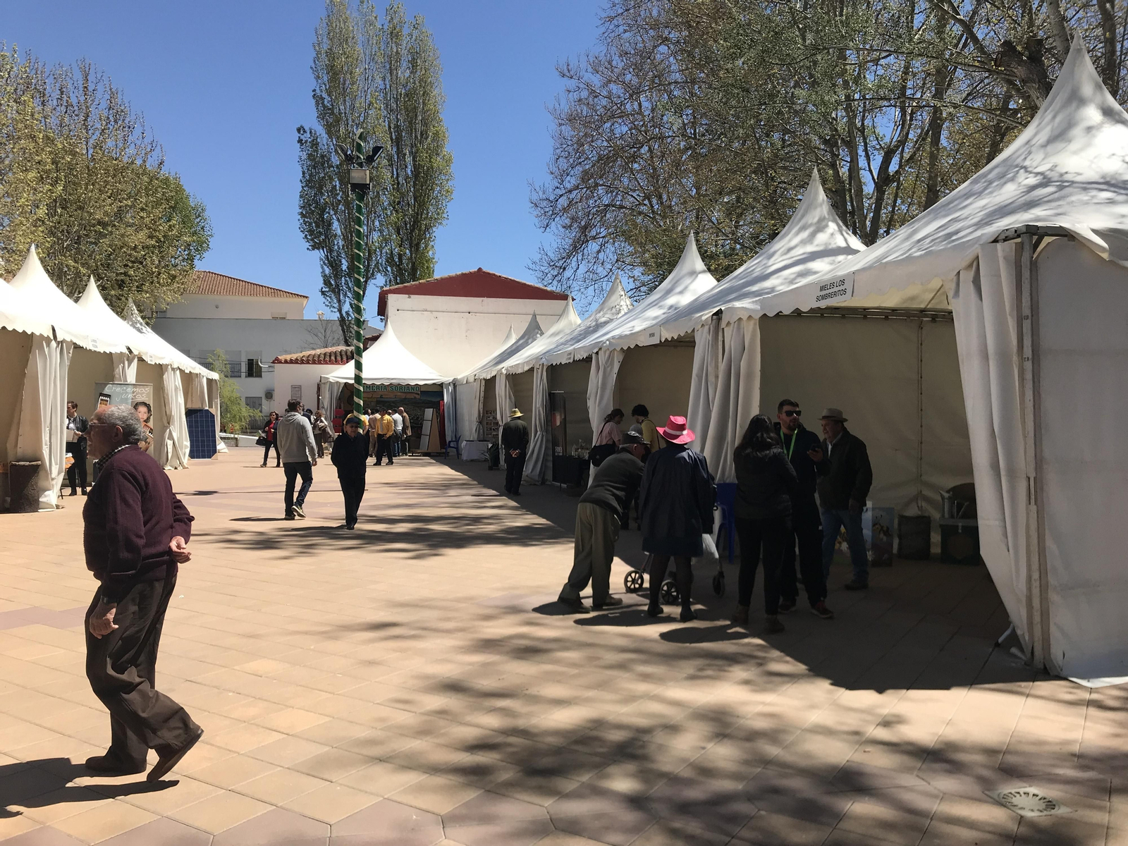 Imágenes de Terracultura 2019, en Chirivel