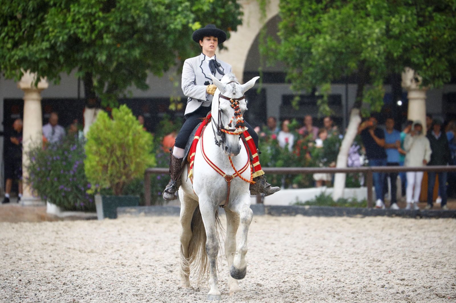 La celebración de la VI Copa de España de Alta Escuela en Córdoba, en imágenes