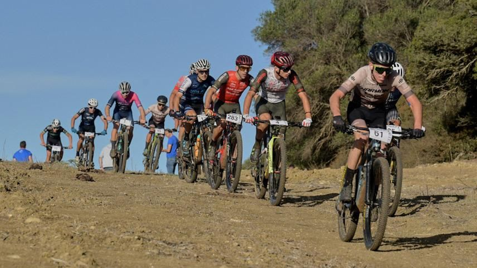 Los campeonatos de Andalucía ya conocen sus fechas de celebración. Los campeonatos de Andalucía ya conocen sus fechas de celebración.