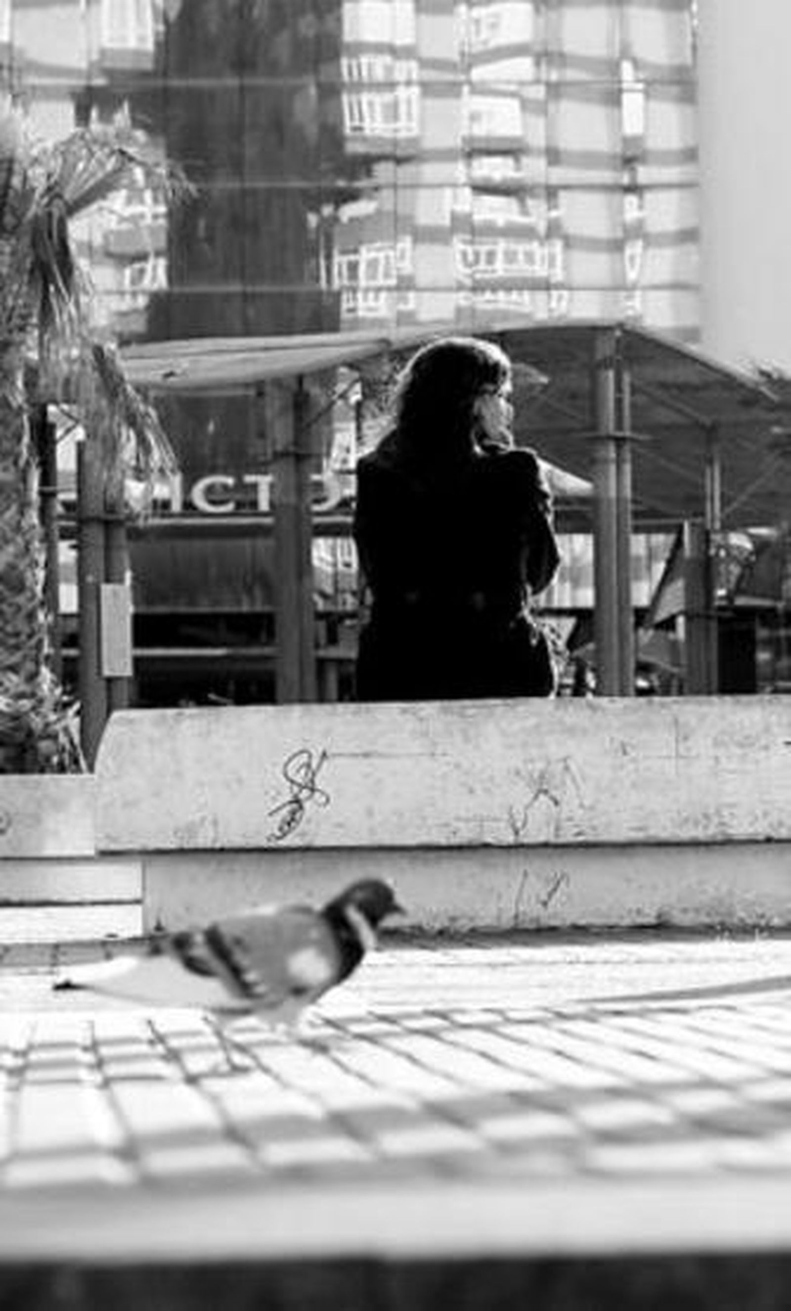 La plaza de Ingeniero La Cierva puede cambiar de diseño.