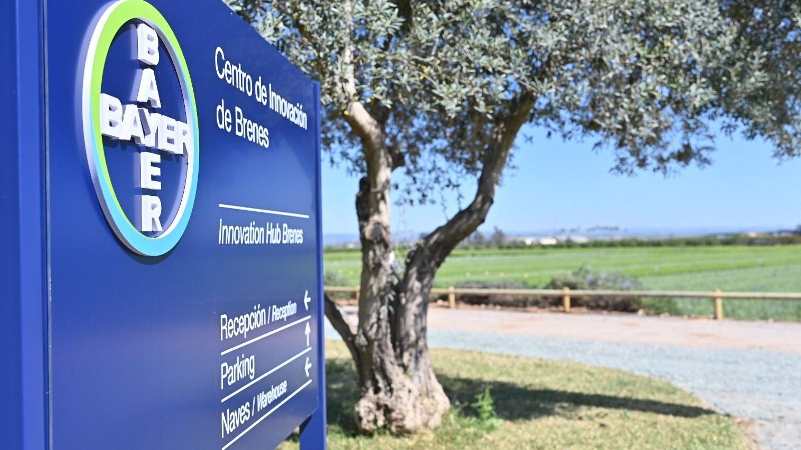 Entrada al centro de Brenes Entrada al centro de Brenes