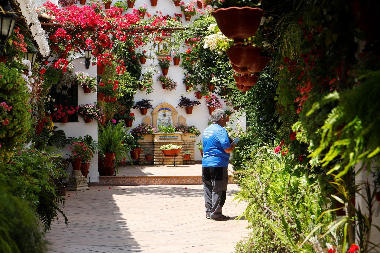 Un recorrido en imágenes por los patios de la ruta Regina-Realejo