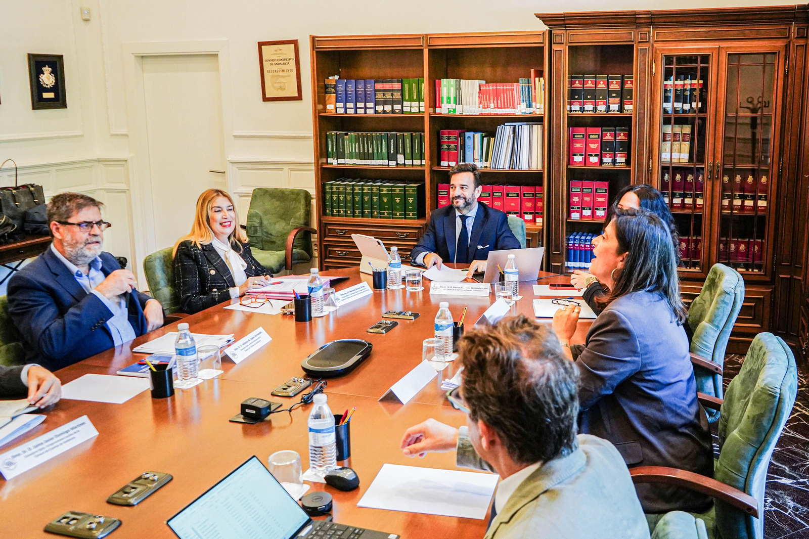 El presidente de la Cámara de Cuentas de Andalucía, Manuel Alejandro Cardenete, presidió el pleno del organismo.