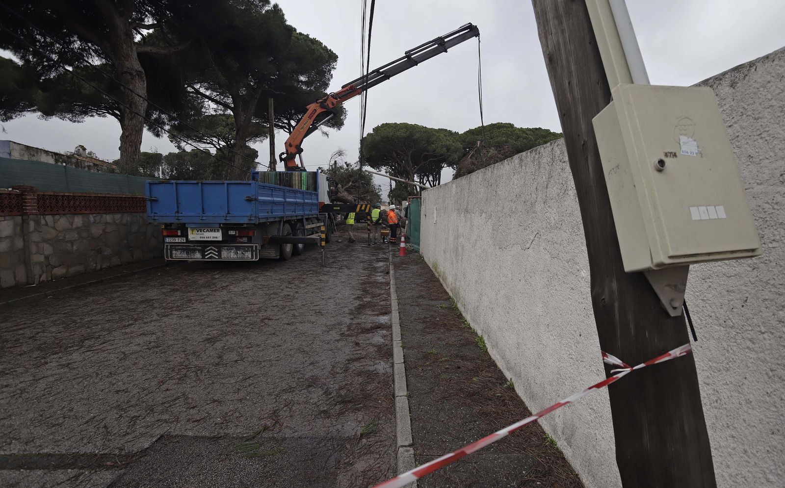 24 horas sin electricidad en la urbanización Los Pinos por árboles caídos tras la borrasca Kristin, en imágenes