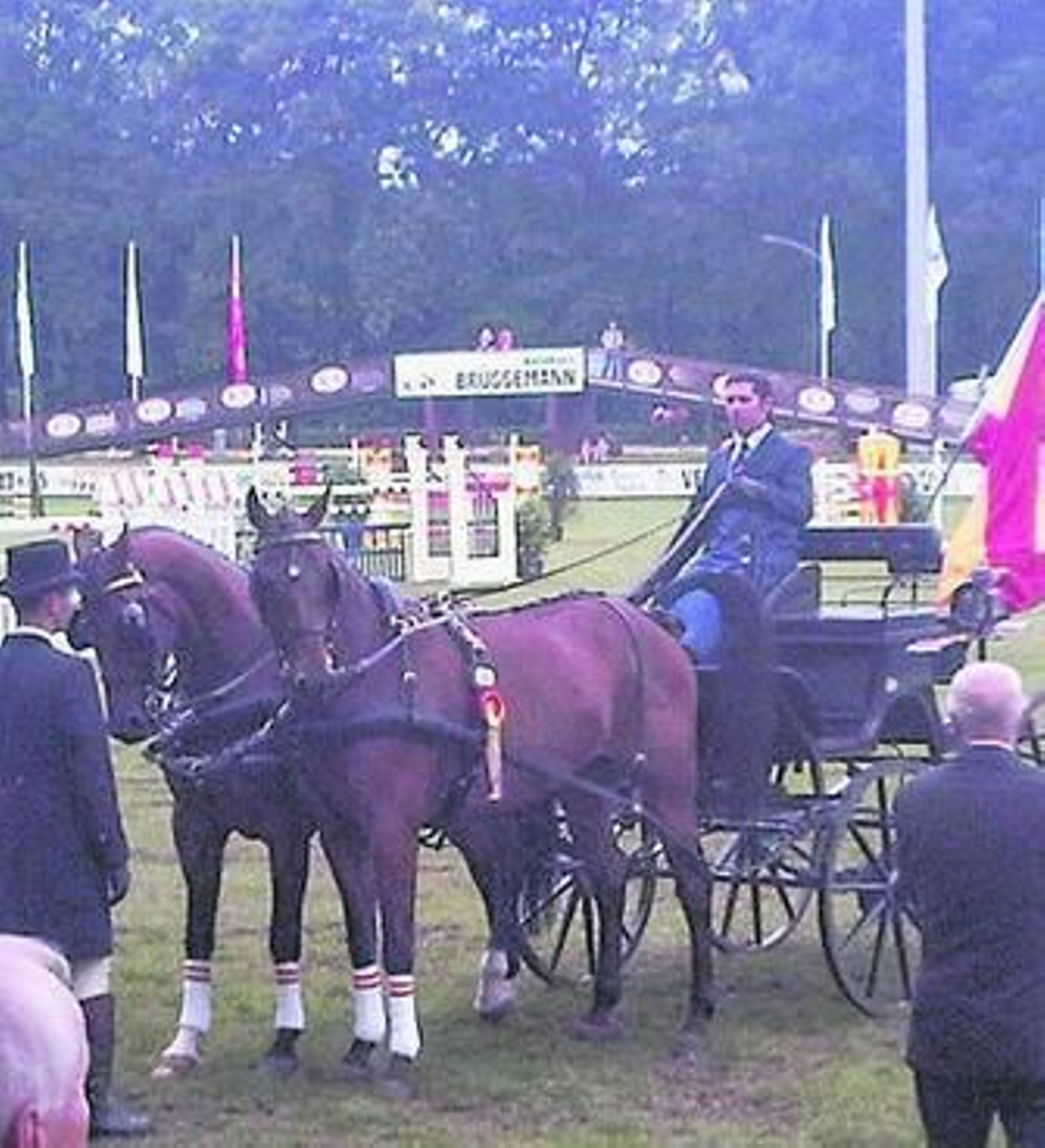 El cochero Miguel Ángel Gutiérrez Camarillo.