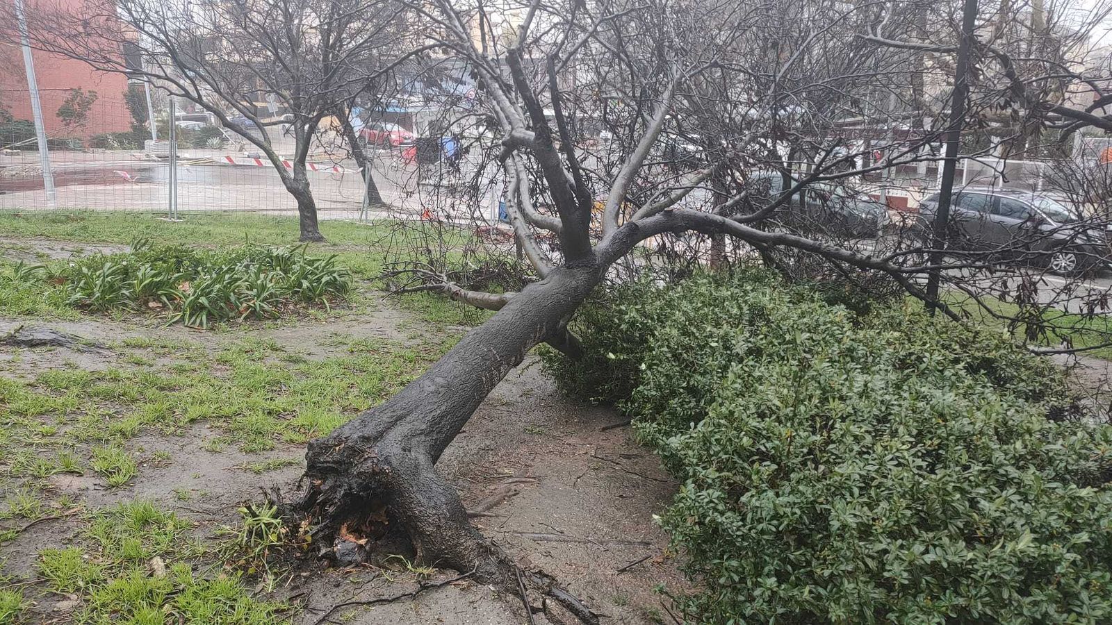 Las fotos de los lectores de Europa Sur del temporal Karlotta