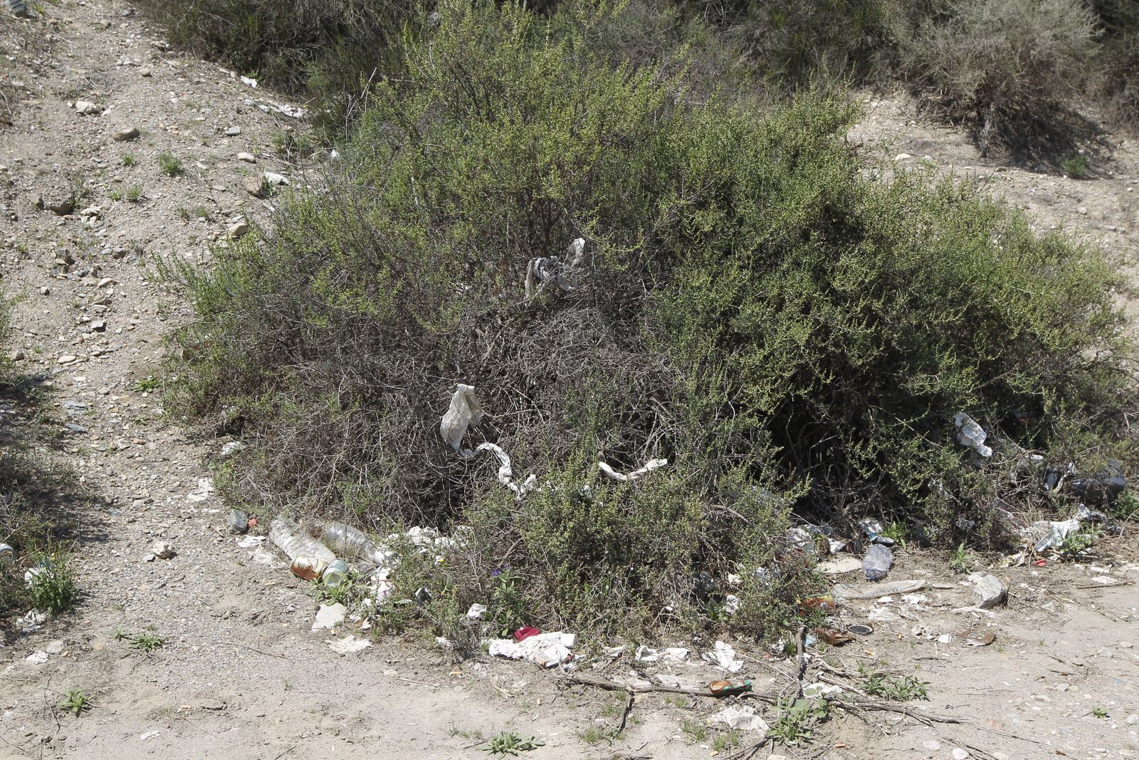 Fotogalería basura en el Desierto de Tabernas