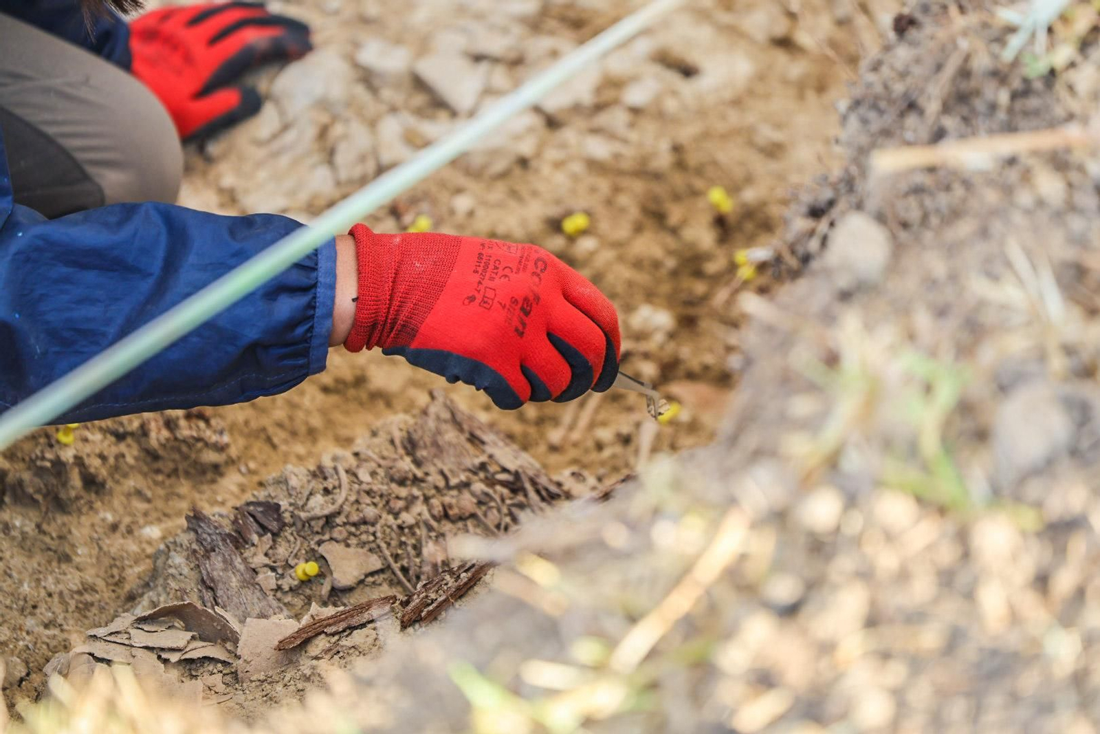 Imágenes de la exhumación de fosas comunes en el cementerio de Huelva para buscar posibles bebés robados