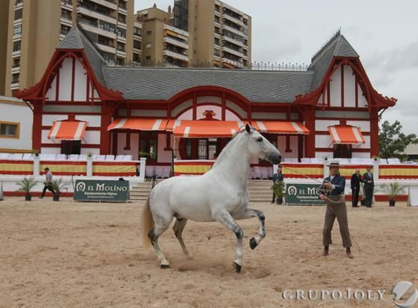 ‘Sir Bambino’, nuevo Campeón de Campeones.

Foto: Jose Contreras