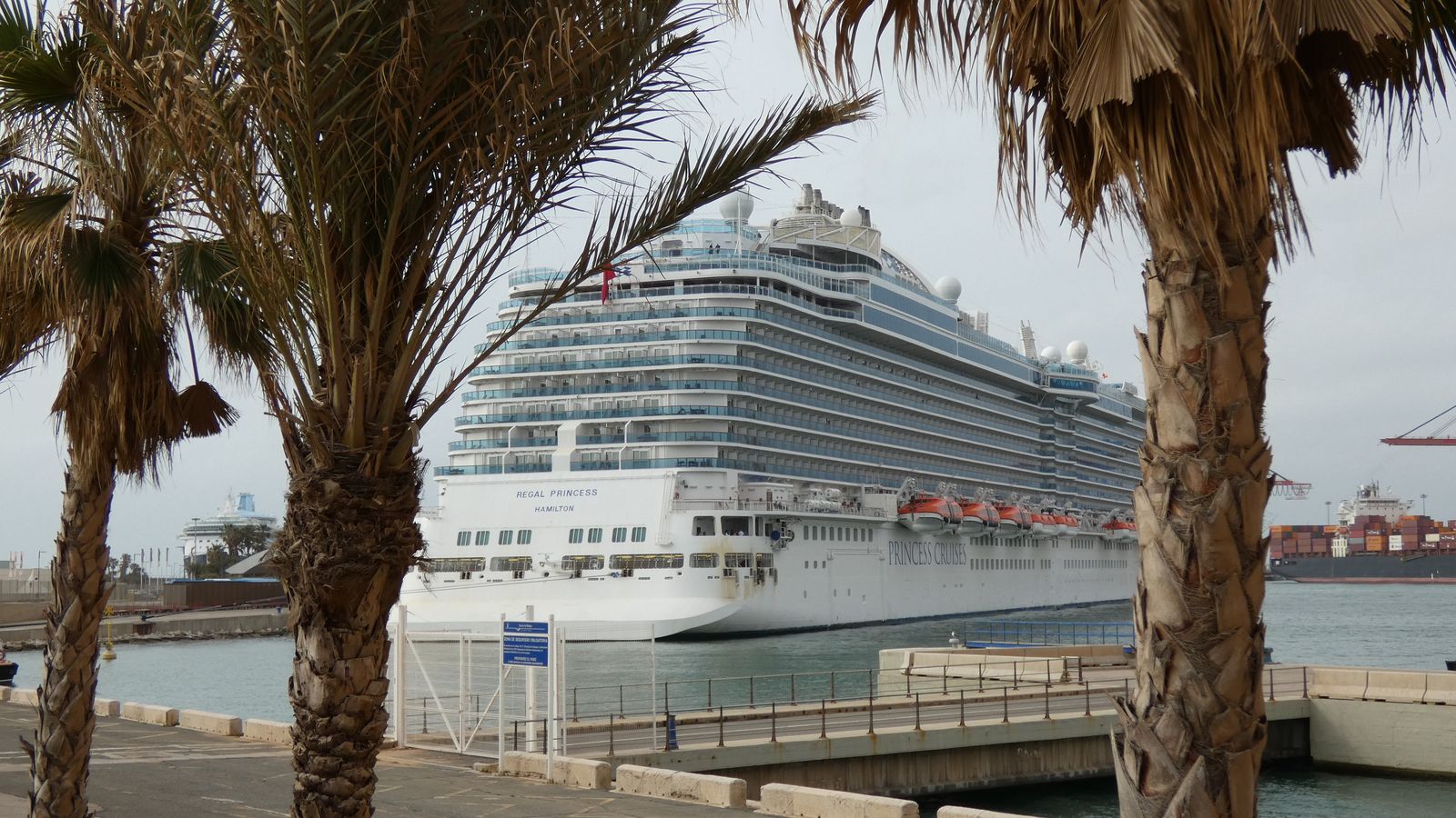 El 'Regal Princess' entre palmeras en el puerto de Málaga.