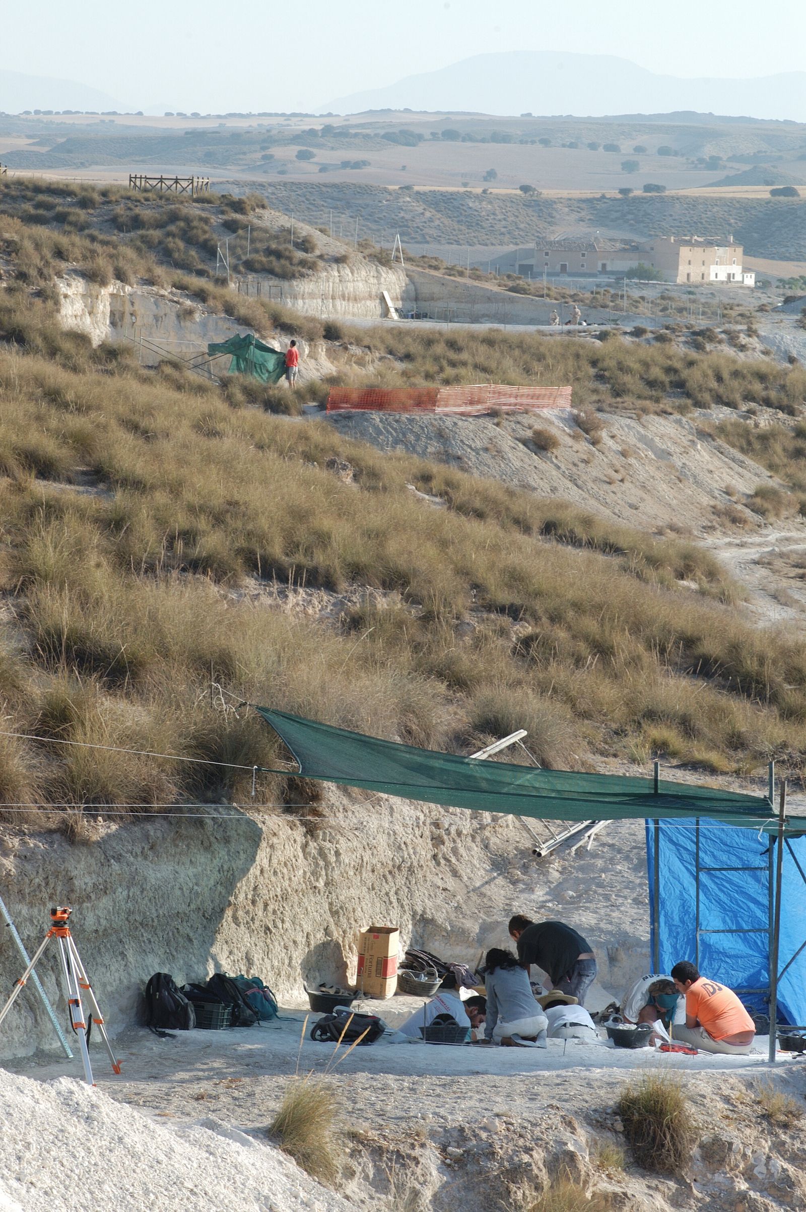 Trabajos en Venta Micena.