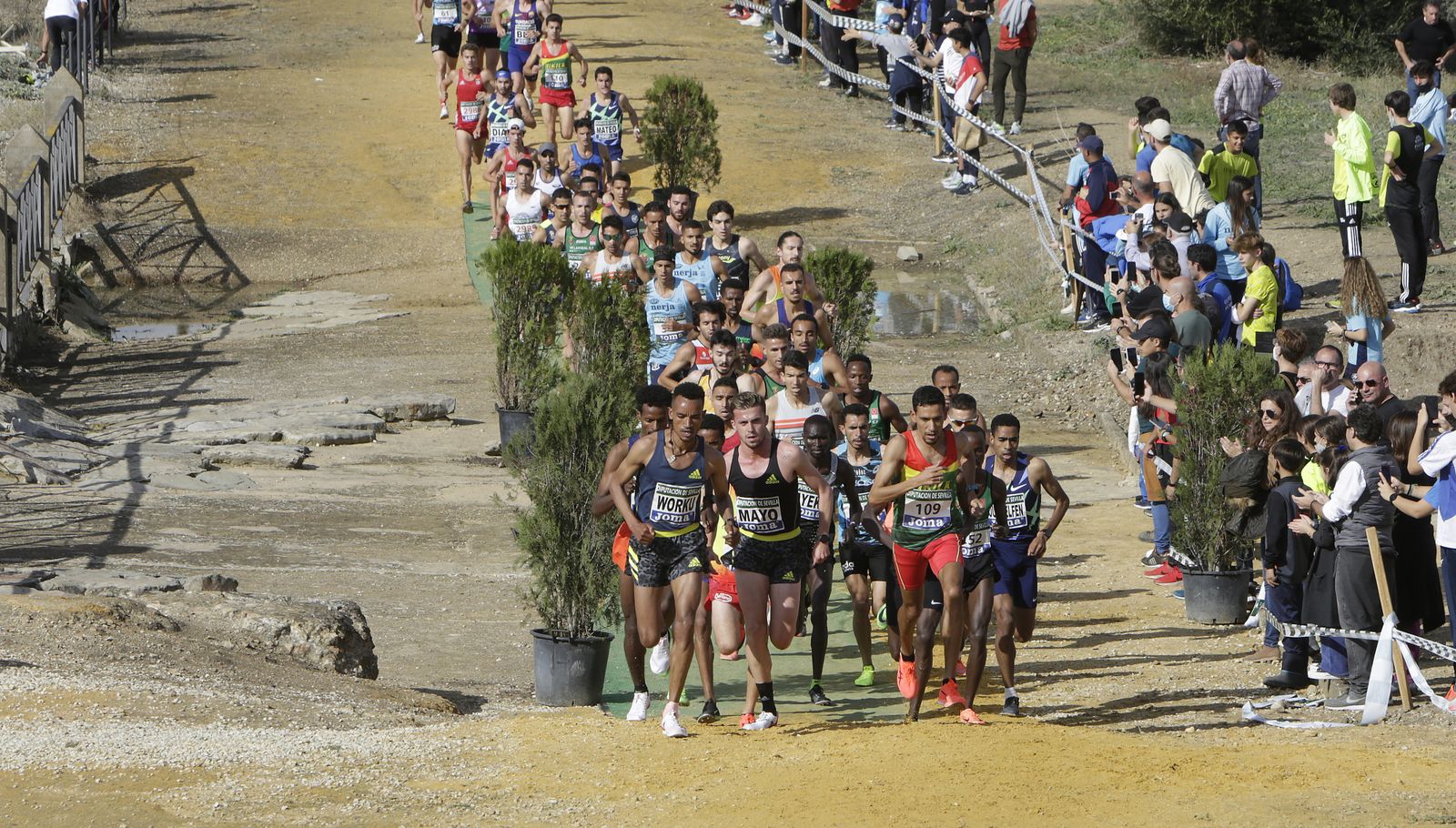 CROSS ITALICA
