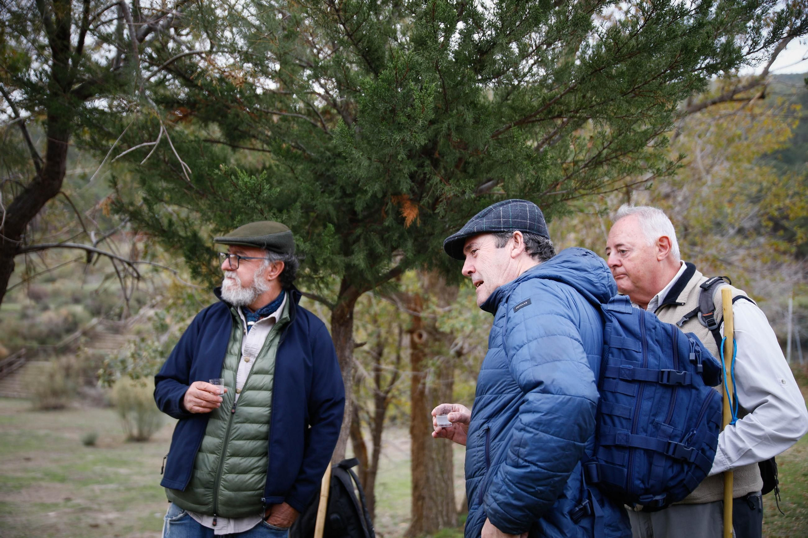 La ruta recolectora de setas en Abla por las XIX Jornadas Micológicas, en imágenes