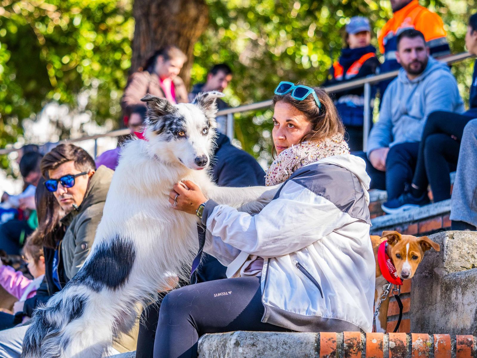 Las imágenes de San Antón 2025 en San Fernando