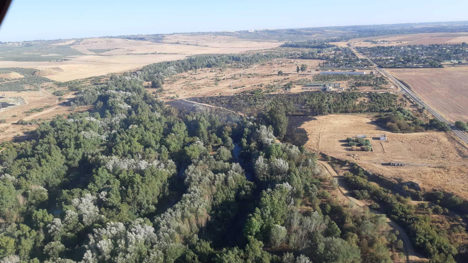 Una vista del paraje del Corredor Verde del Guadiamar con parte de la superficie afectada.