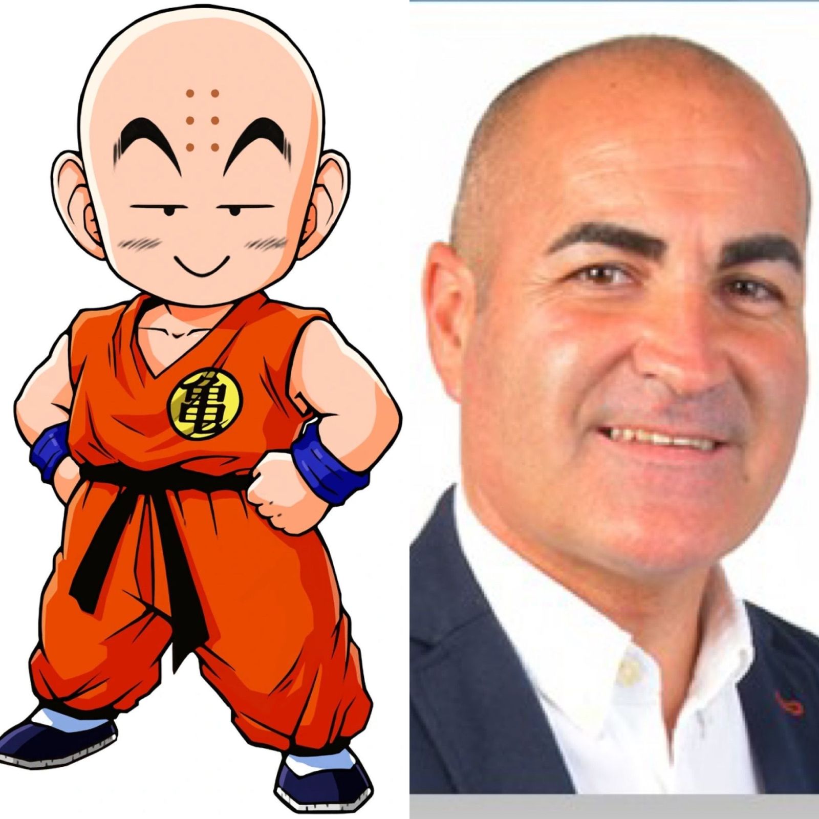 Parecidos razonables