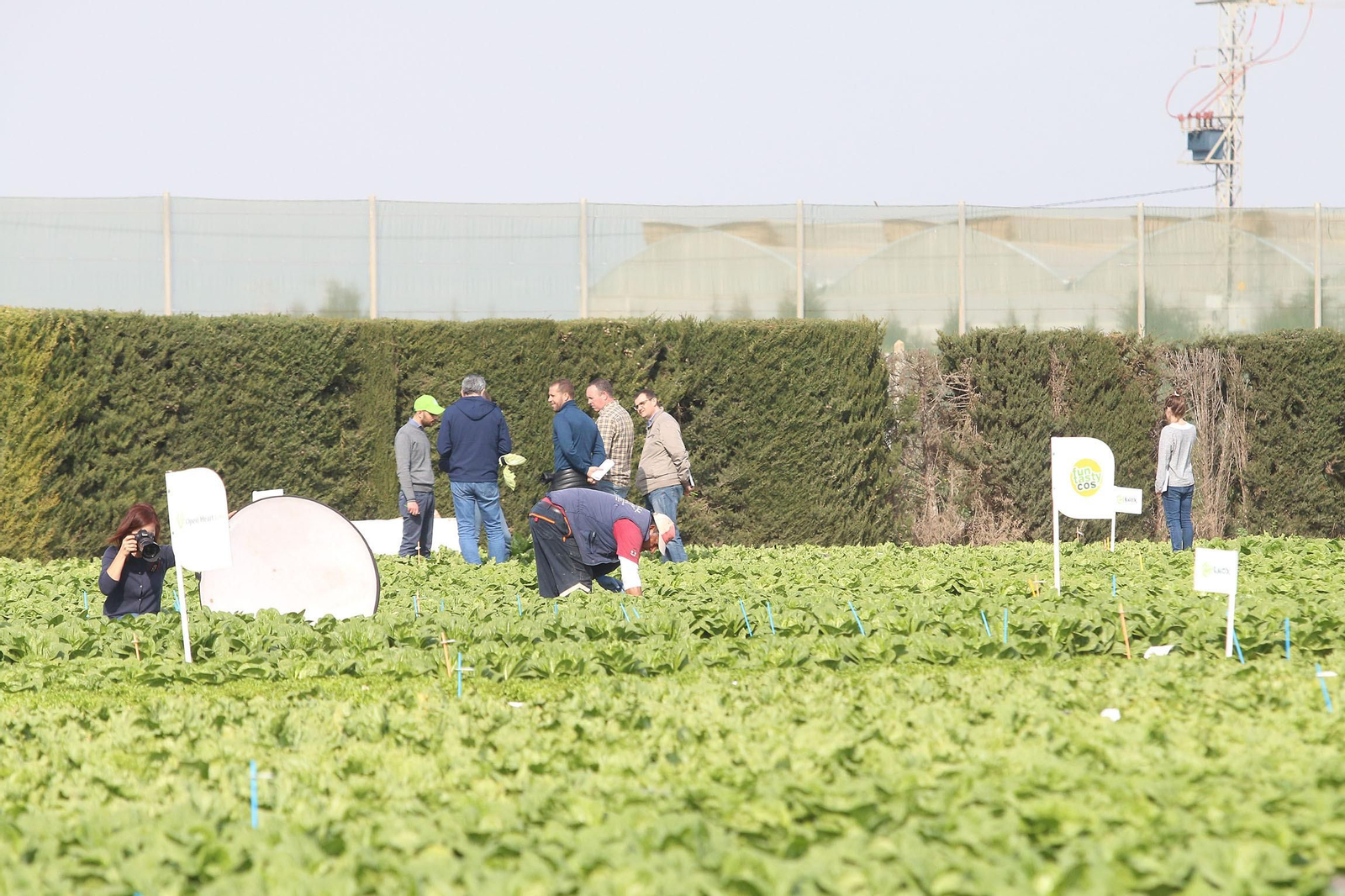 Fotogalería de las jornadas de puertas abiertas de Rijk Zwaan en Cartagena
