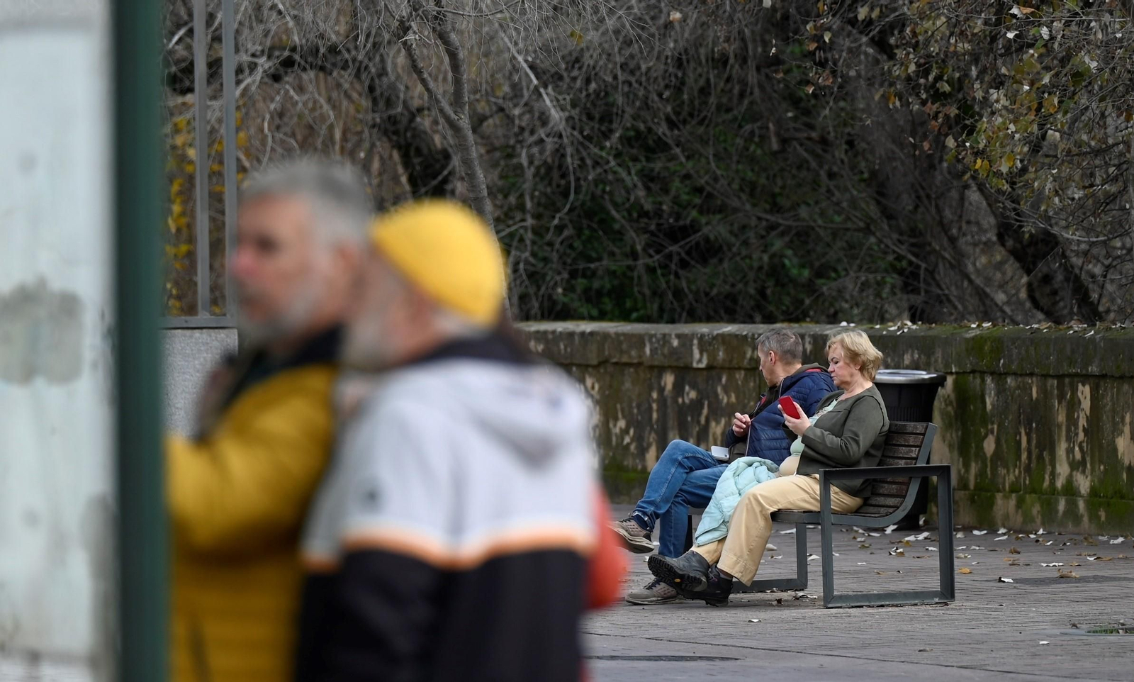 Un paseo en imágenes por la Ribera de Córdoba una gélida mañana