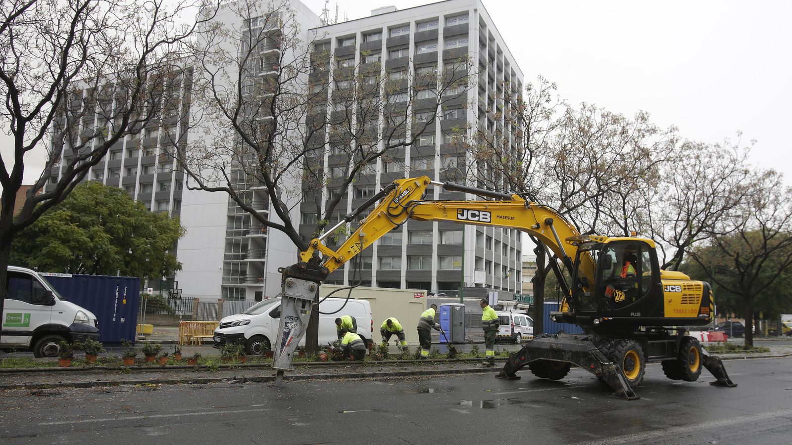 Operarios trasplantan los rosales de la mediana de San Francisco Javier a macetas más pequeñas por la obra del tranvía.