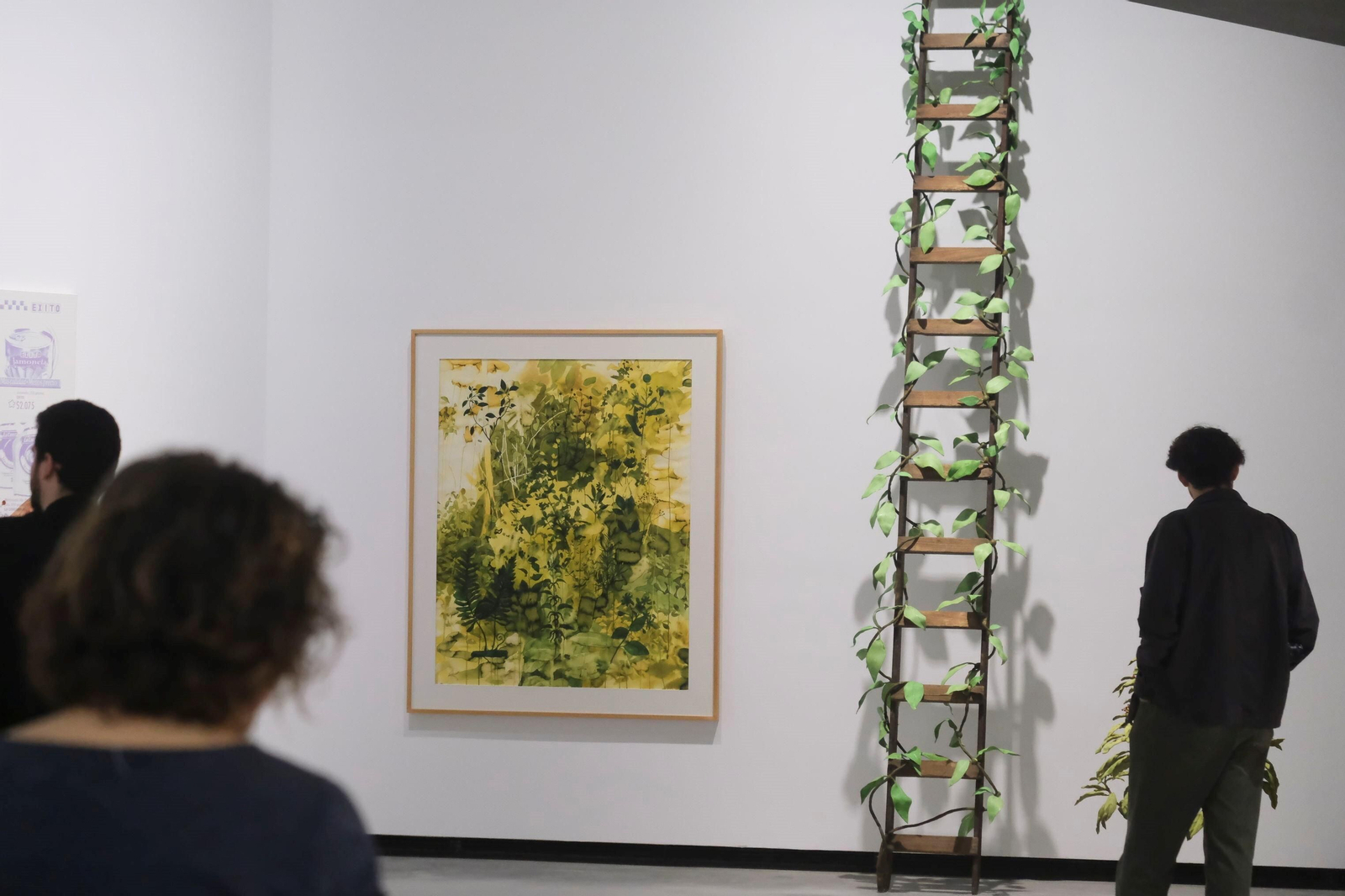 La exposición 'Sombra verde' de Federico Guzmán en el C3A de Córdoba, en imágenes