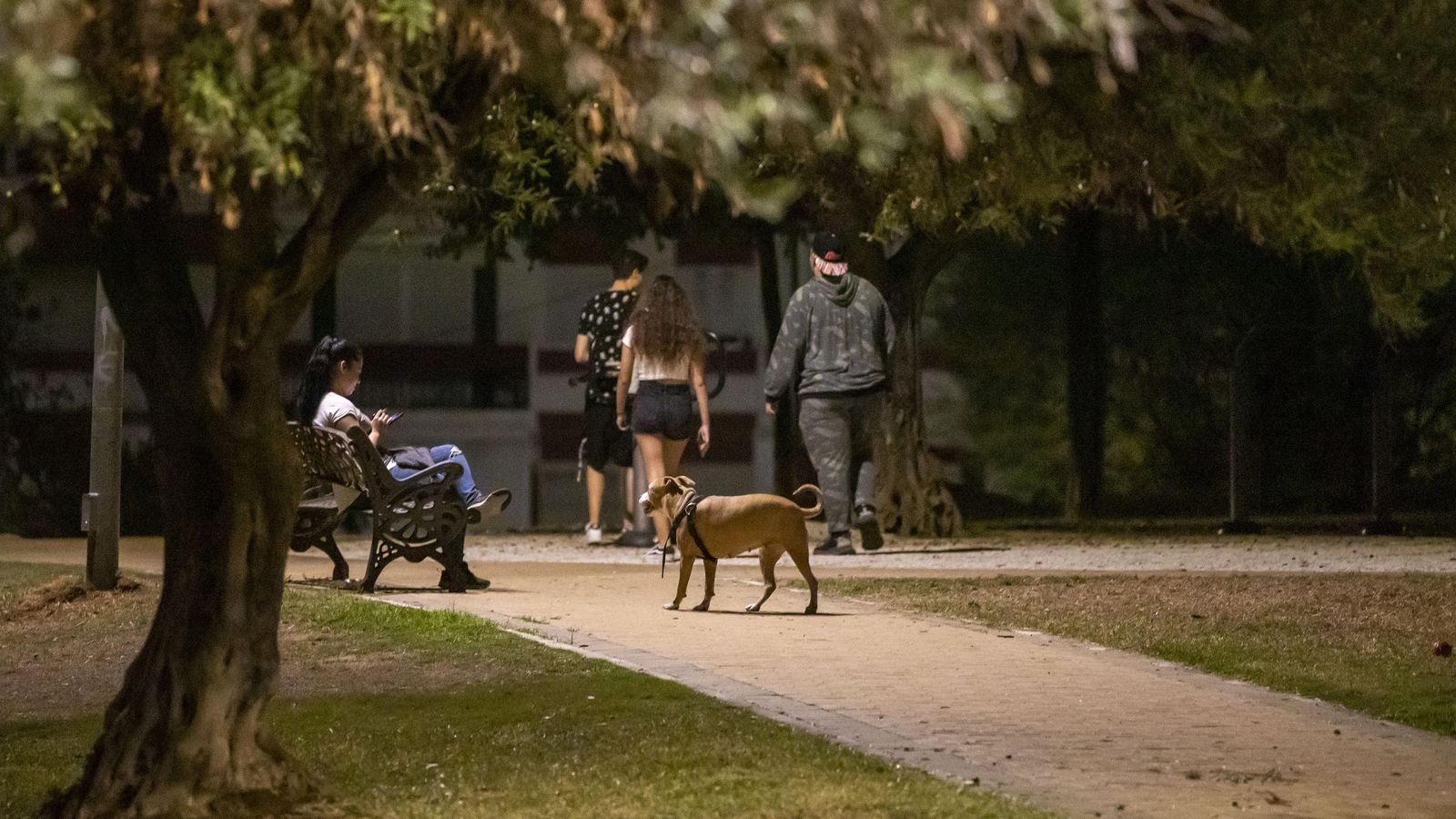 El Parque de Olivos alumbrado con la nueva iluminación.
