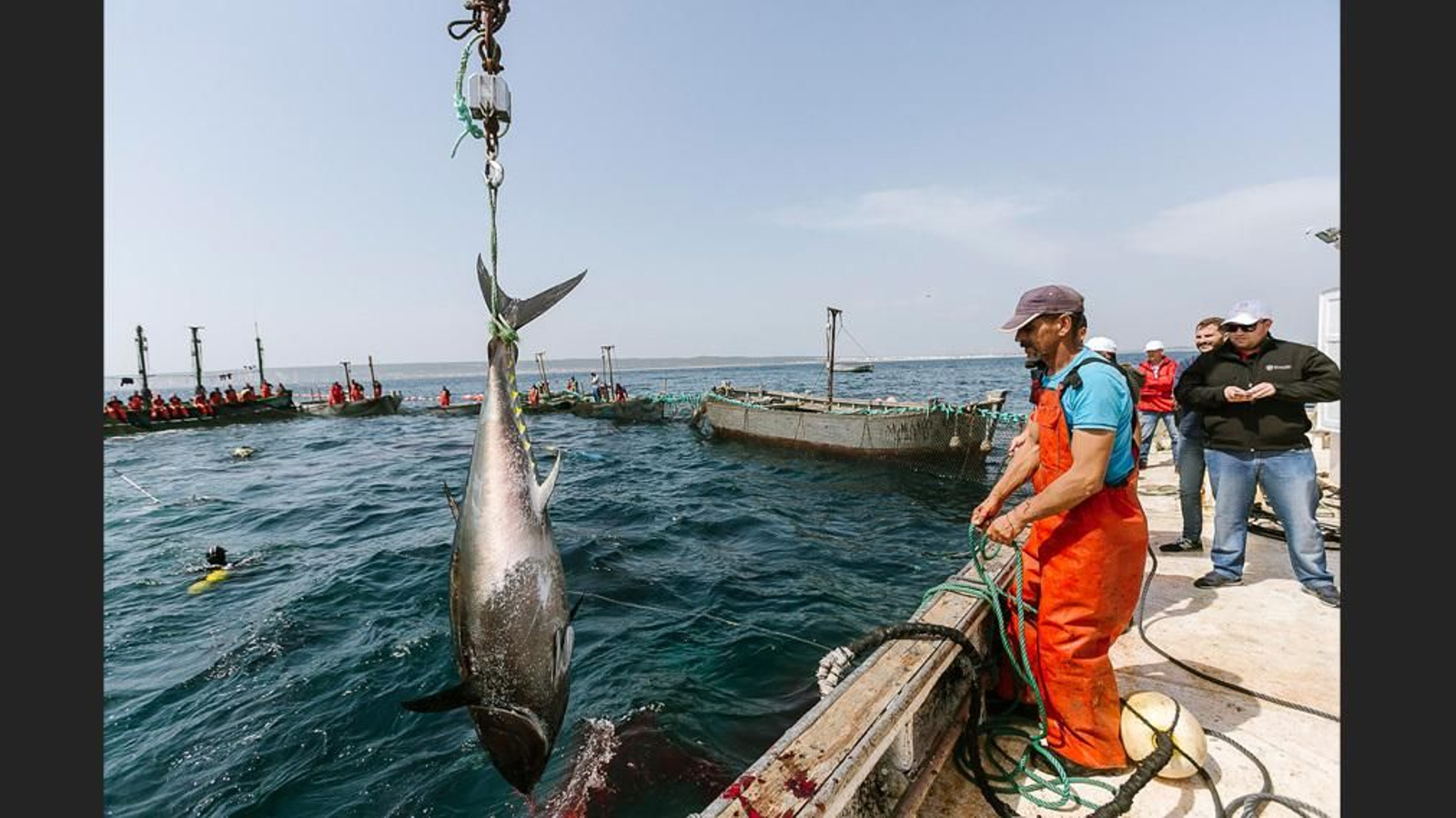 Imágenes de la primera levantá del año