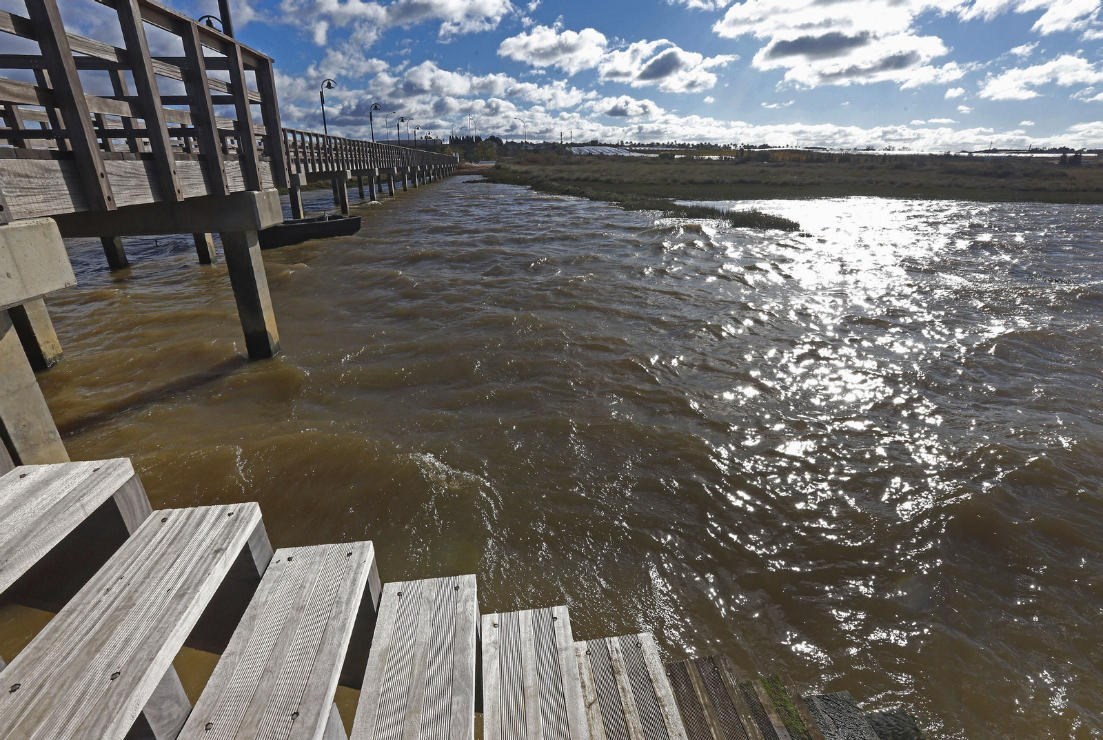 Puerto de Palos de la Frontera