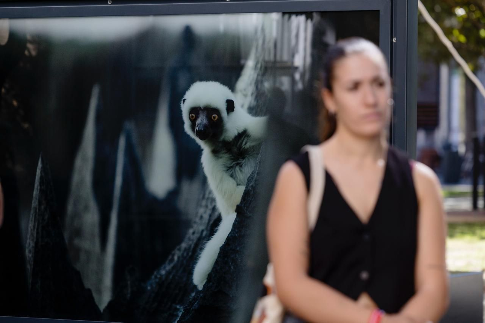 Imágenes de la exposición de National Geographic en Cádiz