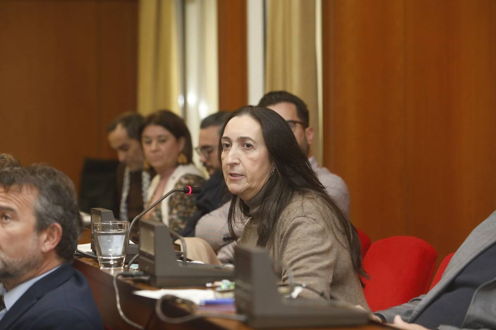 La portavoz de Vox, Paula Badanelli, en el último pleno del año 2025 en el Ayuntamiento de Córdoba.