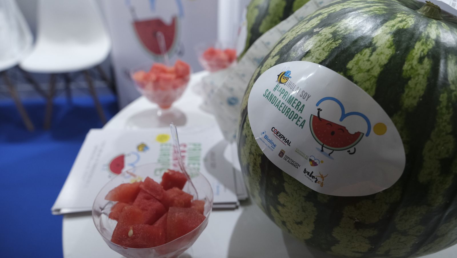 Imágenes de la Expolevante del jueves. Campohermoso-Níjar