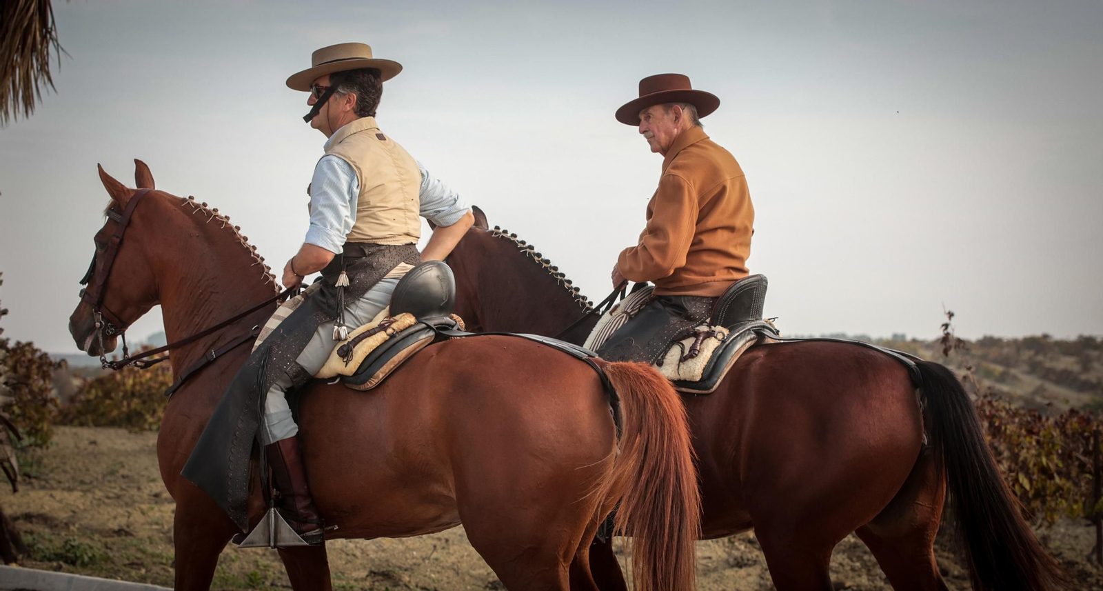 Búscate en la III Ruta Viñas de Jerez de Enganches