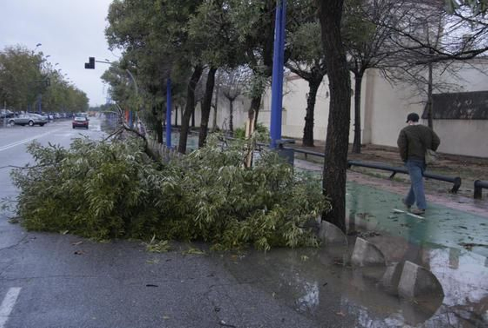 El temporal ha provocado unas 150 incidencias en la provincia de Sevilla.

Foto: Victoria Hidalgo/Jaime Martínez