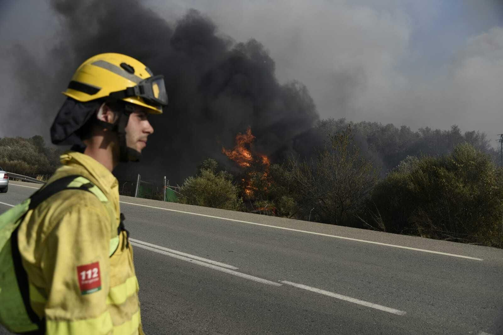 Imágenes del incendio forestal de Bonares