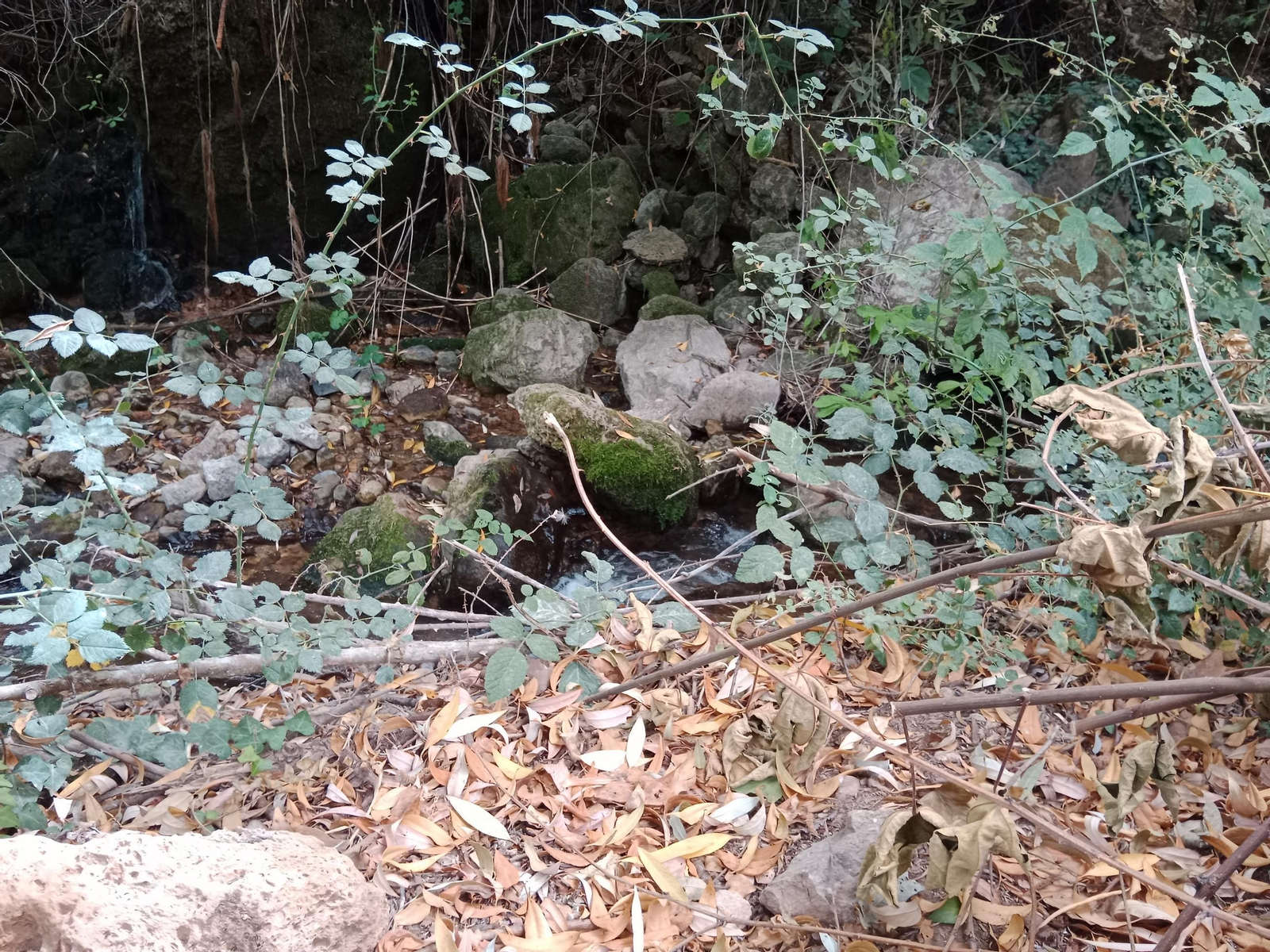 Así está en septiembre la preciosa cascada que puedes ver en Jaén