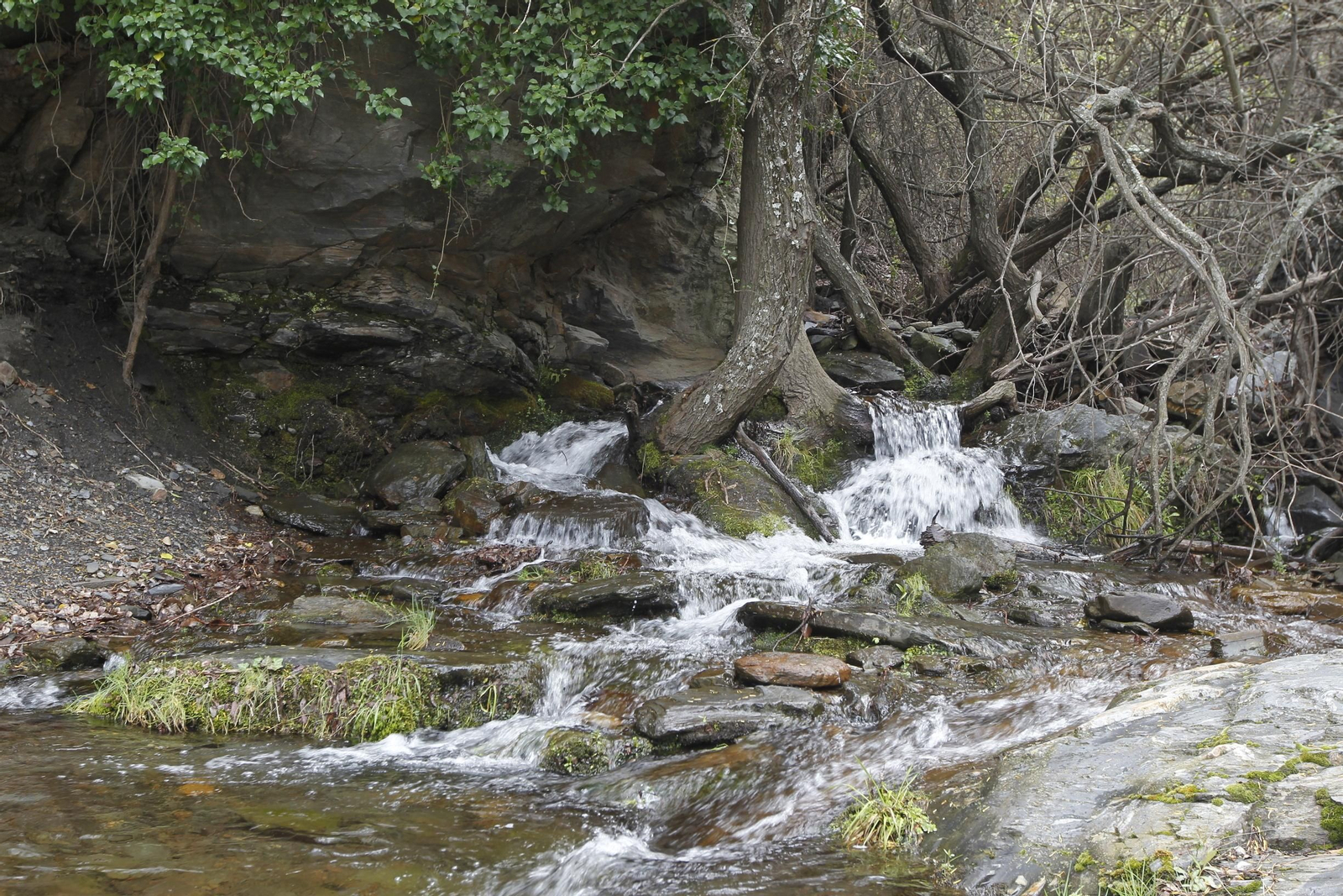 Naturaleza desconfinada. La Roza (Abrucena)