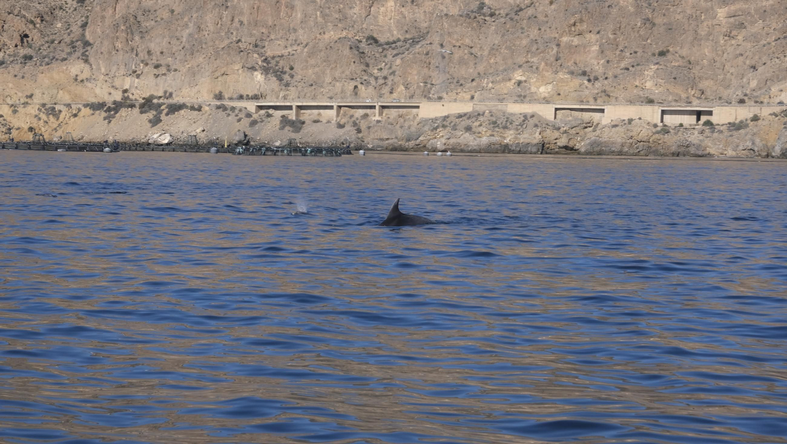 La piscifactoría de El Cañarete, en imágenes