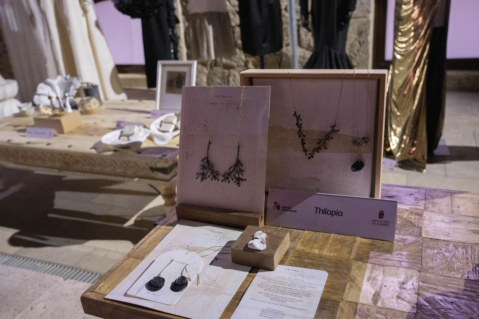 Las imágenes de la presentación de Talento Almeriense