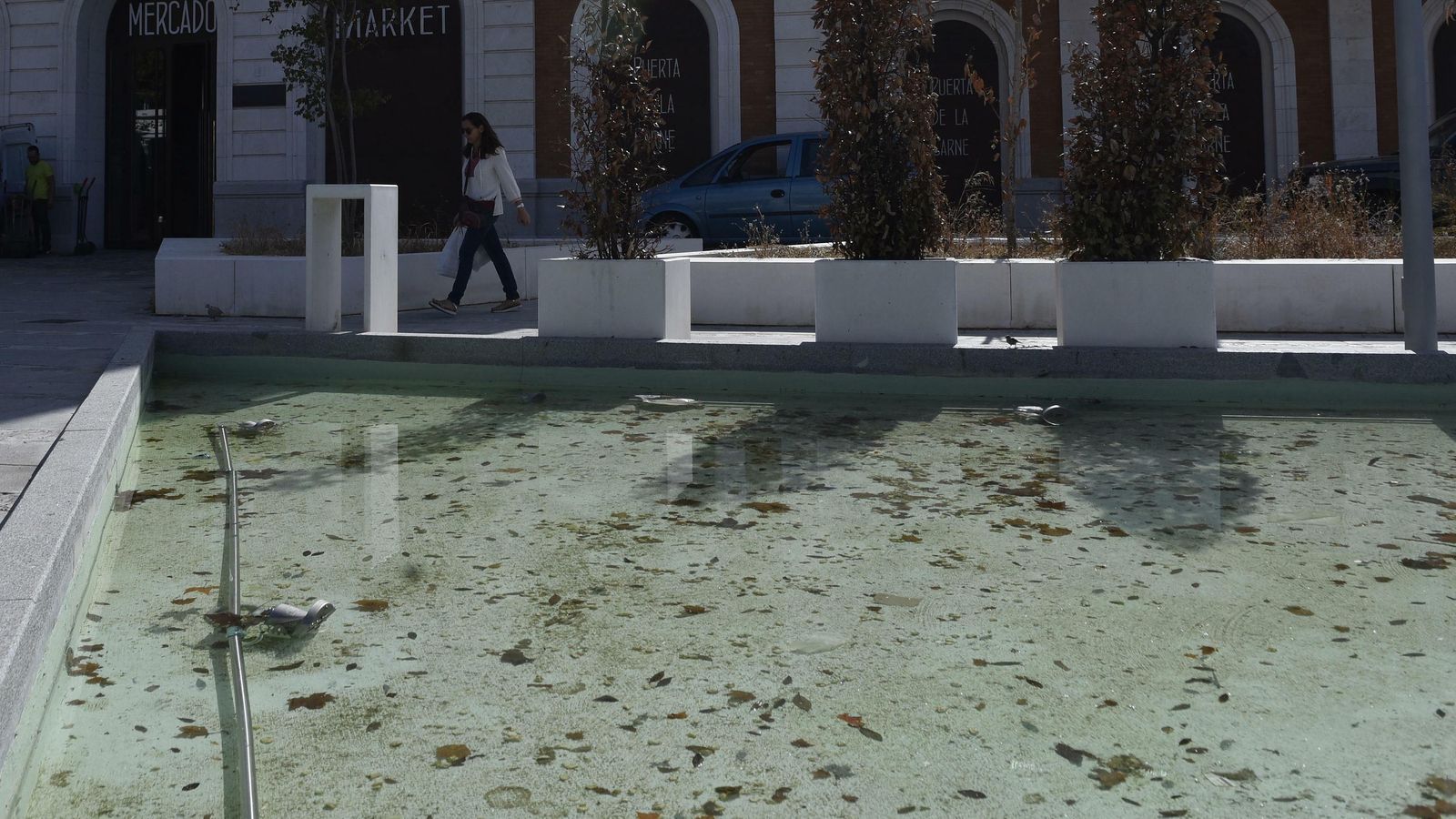 El estanque de agua está sucio y hasta hace poco tenía el agua verde.