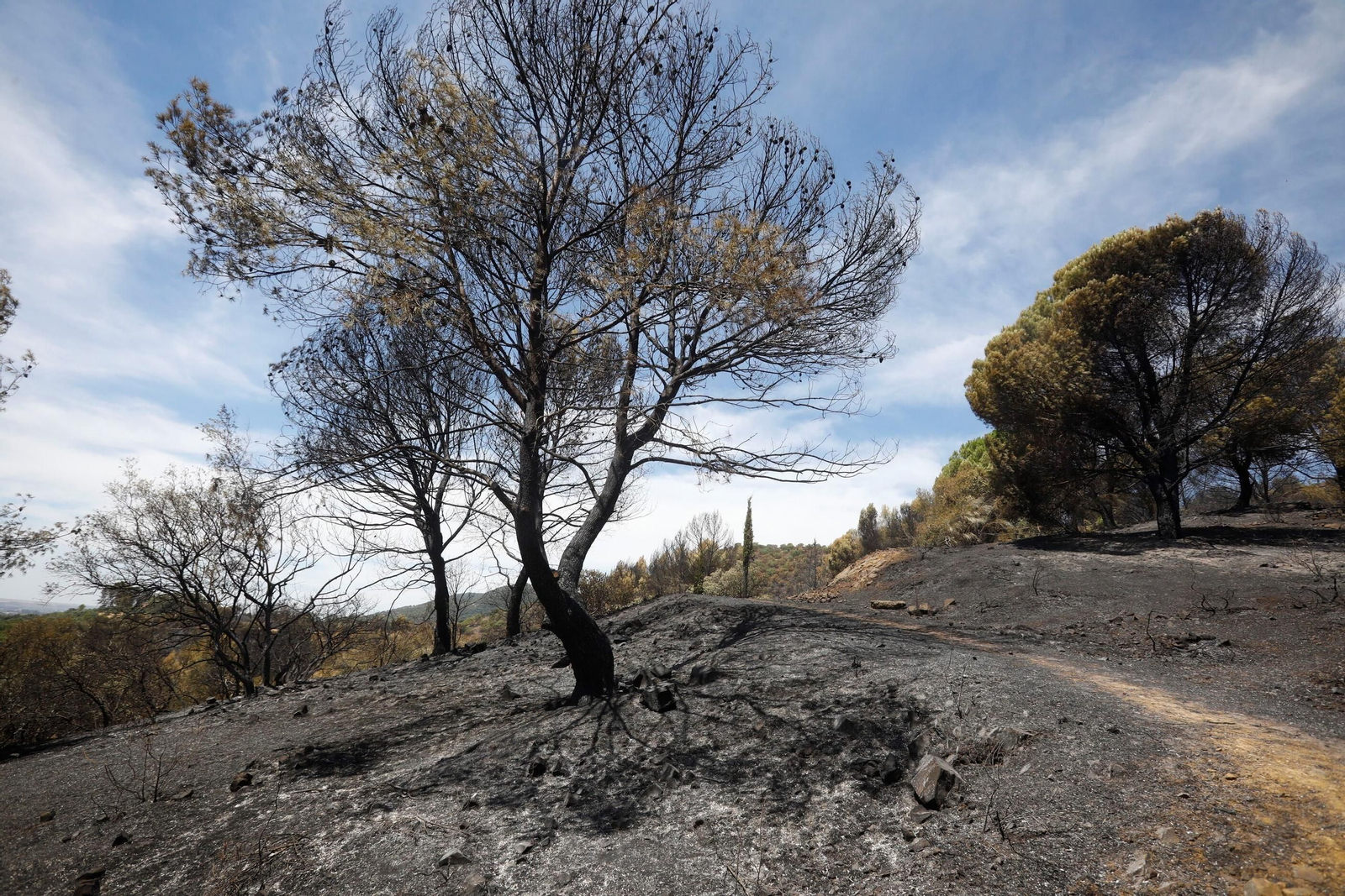 Zona cero del incendio de la Sierra de Córdoba