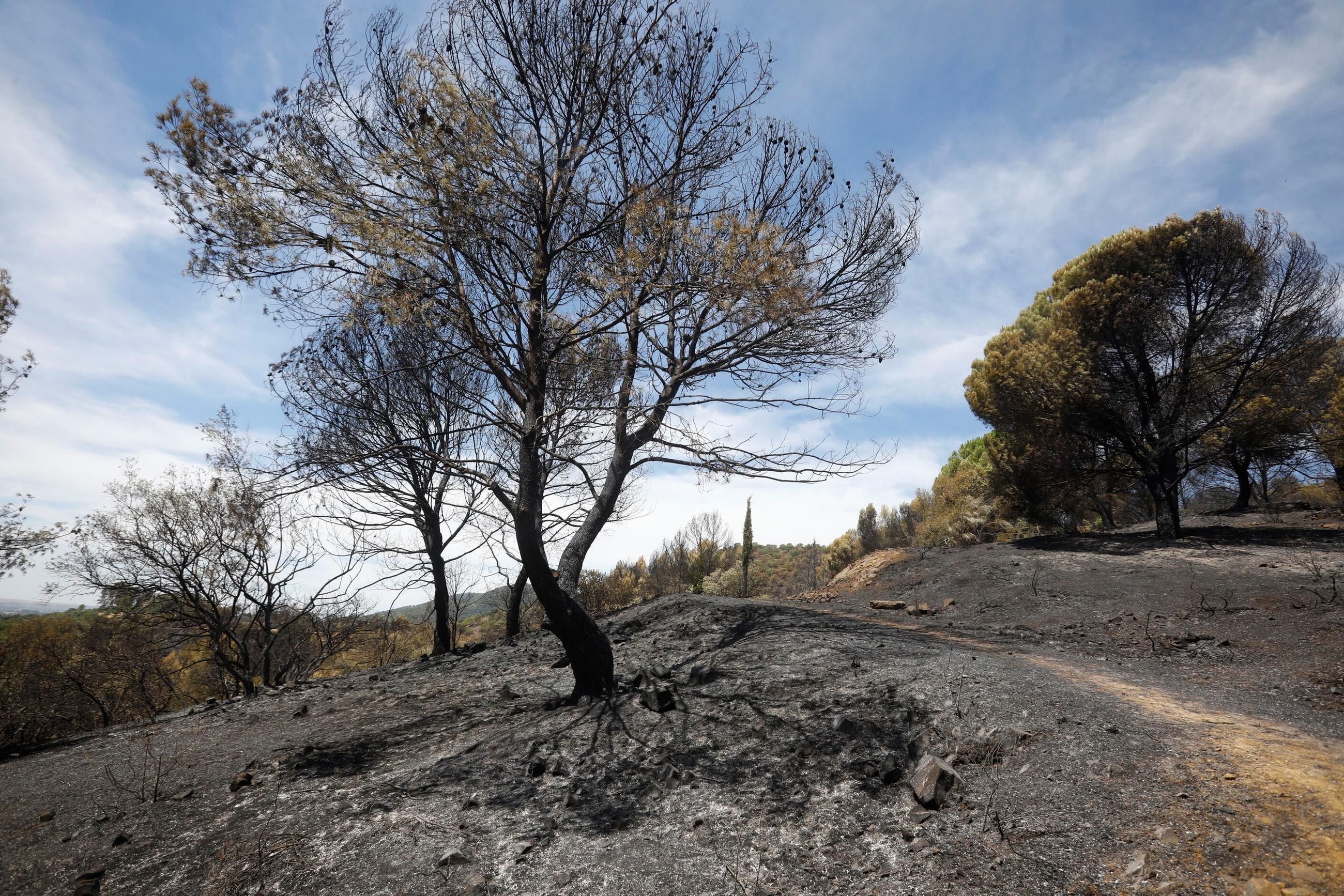 Casi 27.000 cordobeses viven en zonas de peligro de incendio forestal