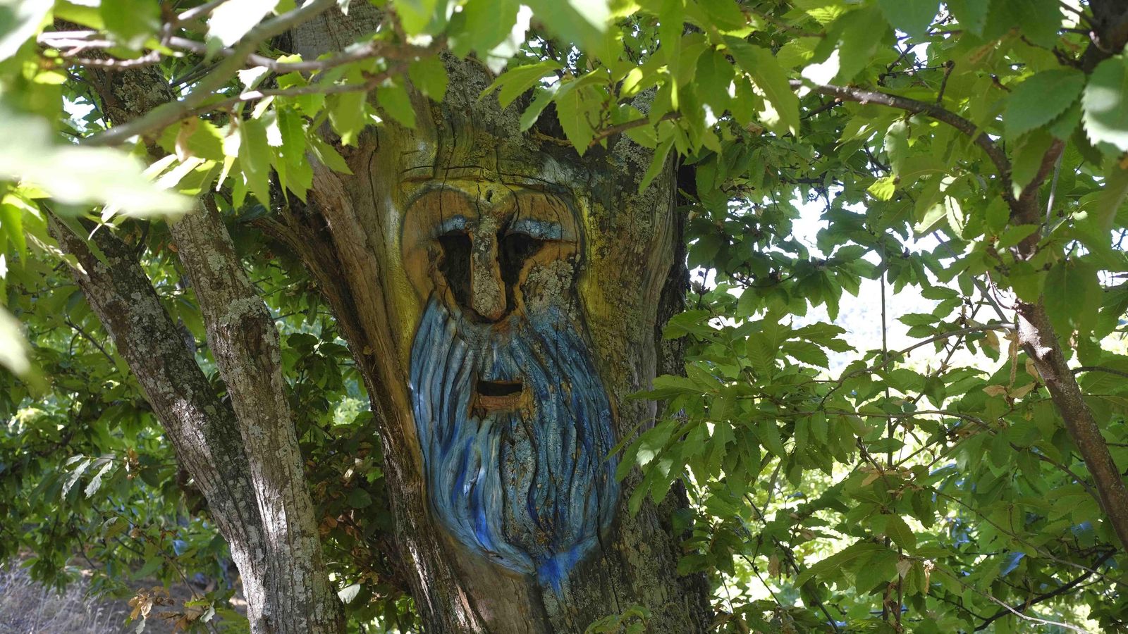 Uno de los elementos del Bosque Encantado de Parauta.