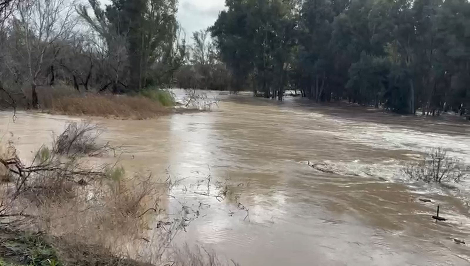 Crecida del Genil en Palma del Río.