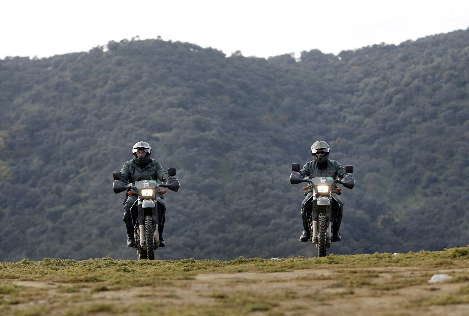 Agentes del Seprona en Córdoba.