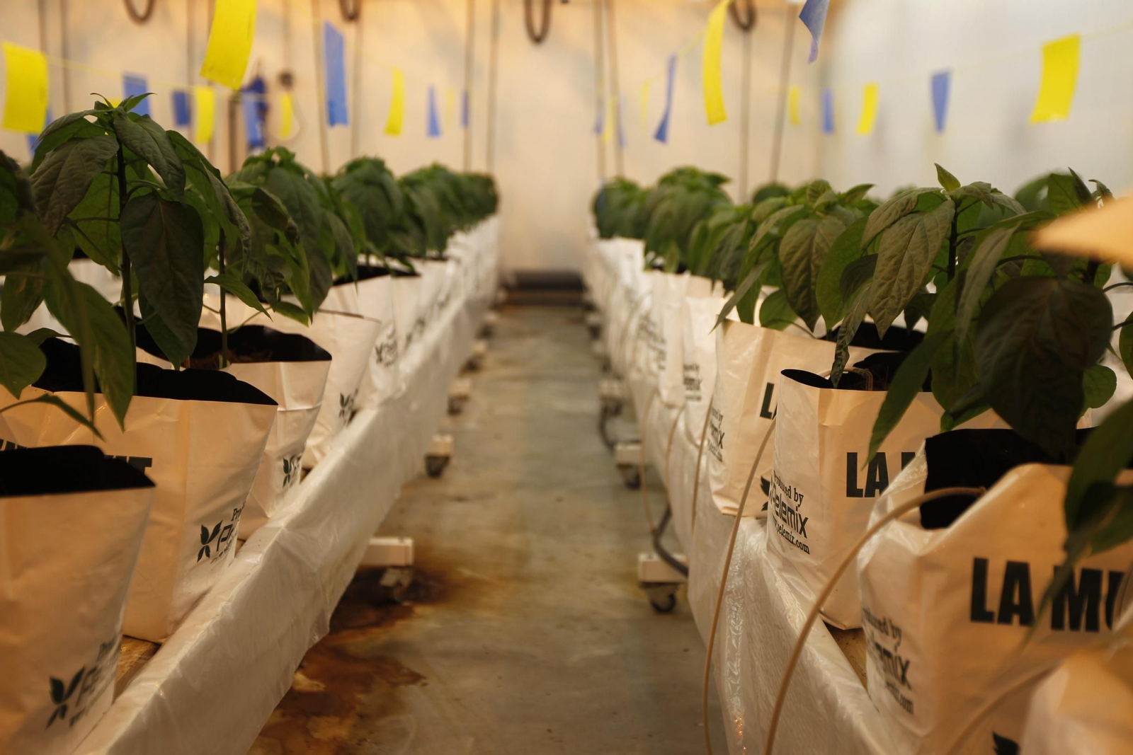 Fotogalería presentación resultados Bayer