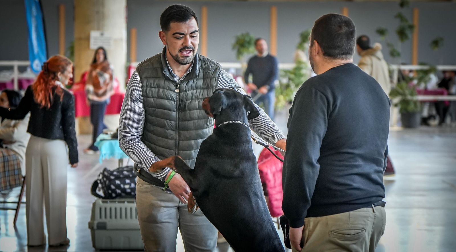 Espectacular exposición canina en Ifeca Jerez, en imágenes