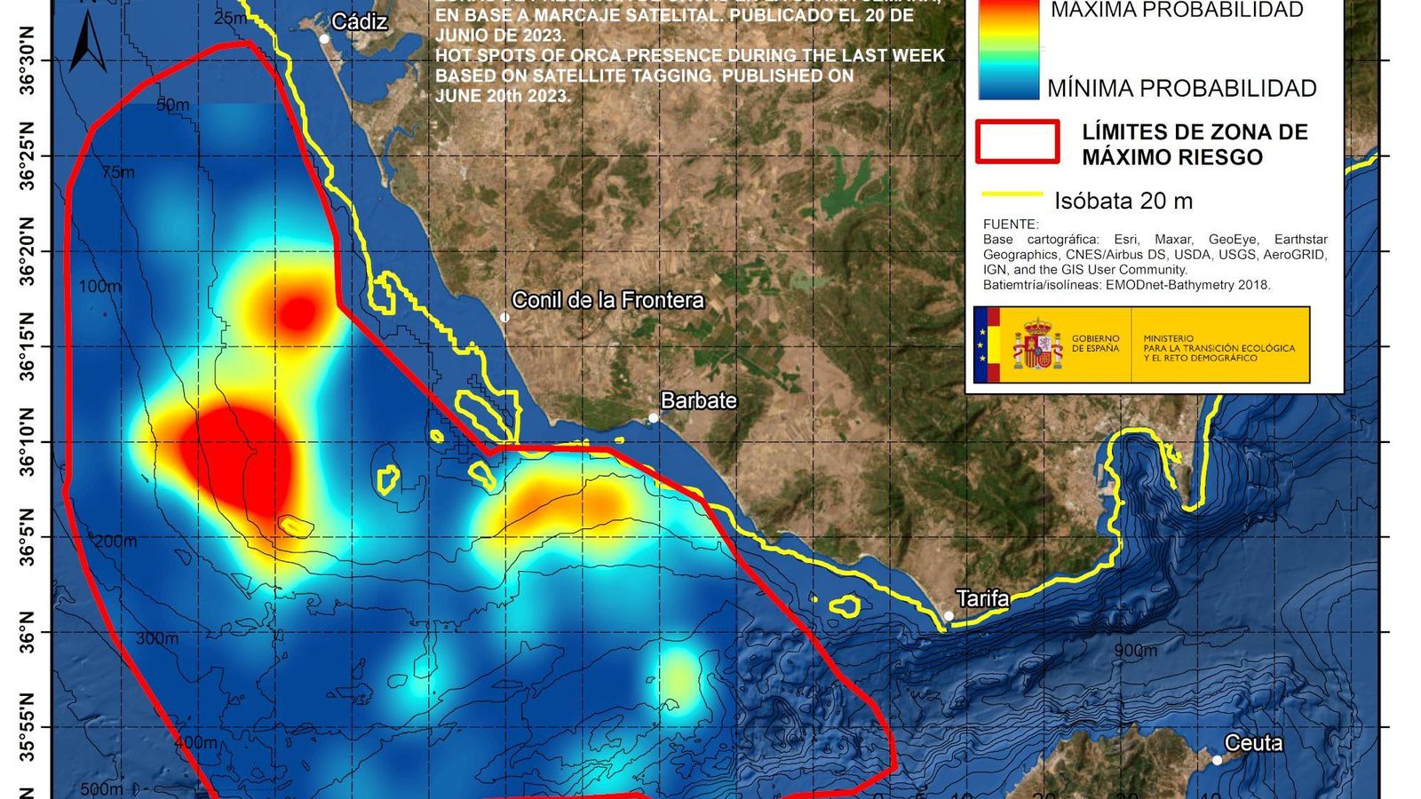 Presencia de orcas en la costa gaditana.
