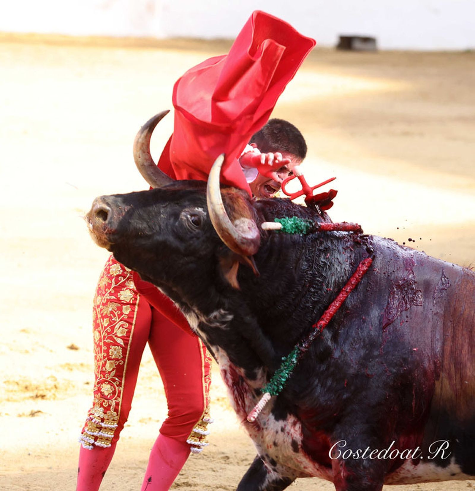 Excelente estocada con la que acabó con la vida del toro de su alternativa.