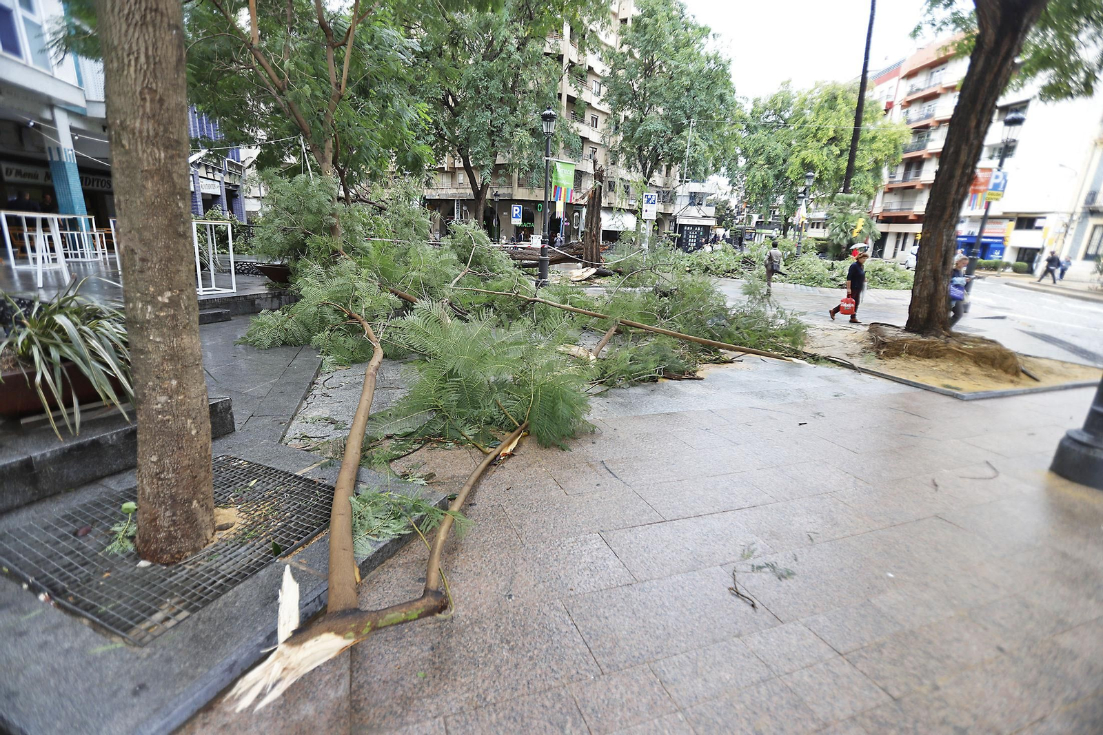 Imágenes de los destrozos en Huelva provocados por el temporal de viento y lluvia