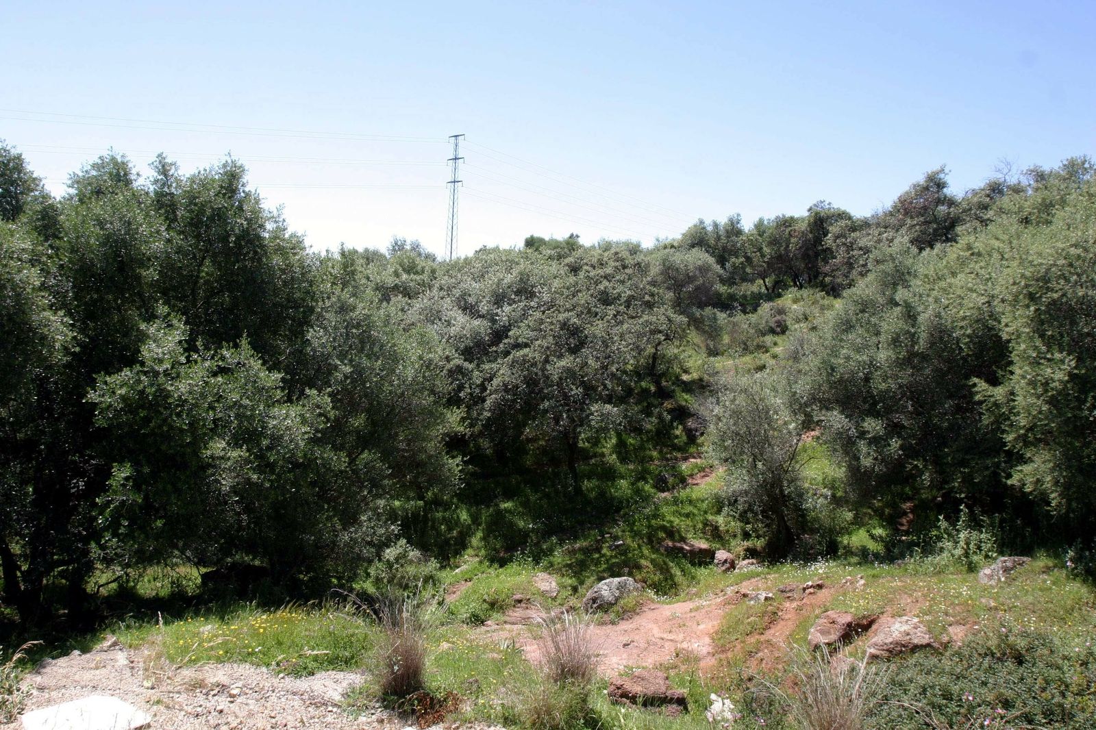 Uno de los parajes de El Patriarca.