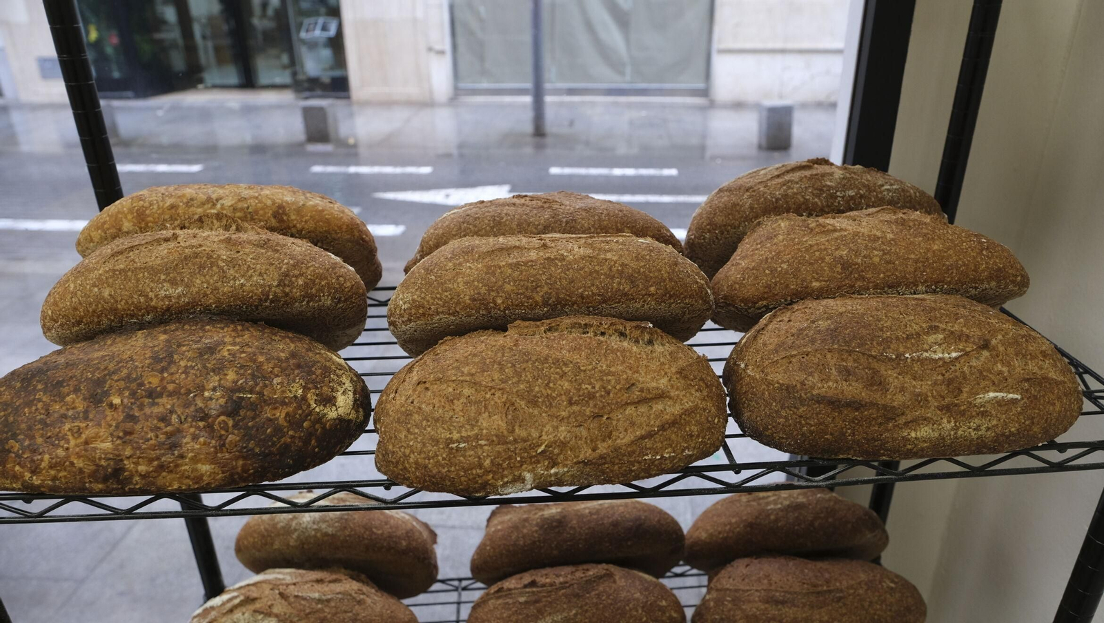Vea cómo hacen el pan en la Panadería 'La Pelina'